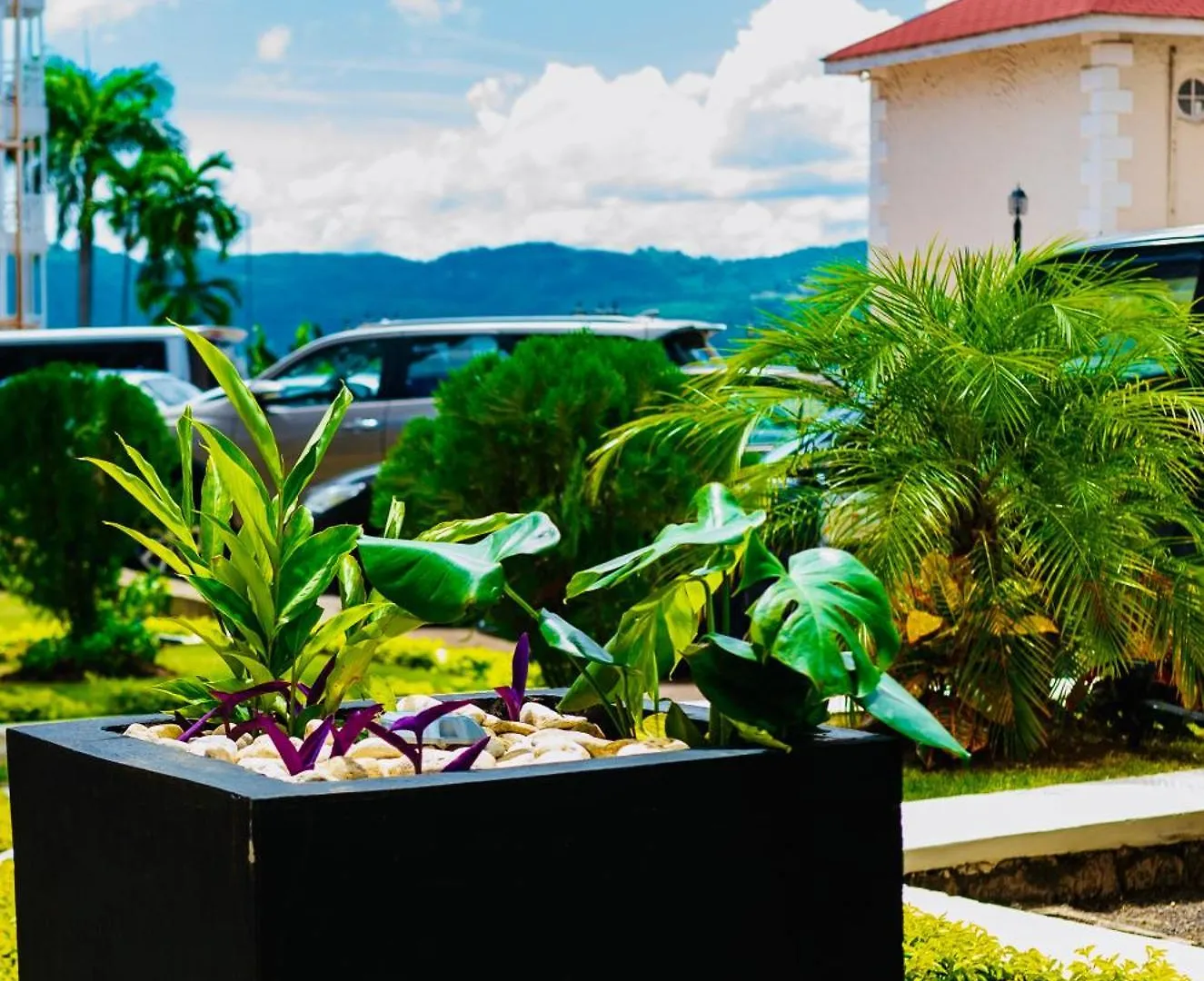 Falcon Shoreline- Airport Pickup Available - Gated-Security Montego Bay Apartment